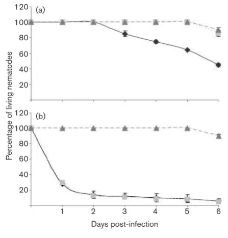 Fig. 8. Effects of deletion ofcomplementation by Fe(III) chloride.Diron-limiting conditions in thecompared to the PA14 wild-type (black diamonds)