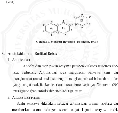 Gambar 1. Struktur flavonoid (Robinson, 1995) 