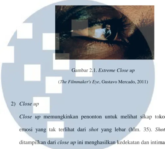 Gambar 2.1. Extreme Close up  (The Filmmaker's Eye, Gustavo Mercado, 2011) 
