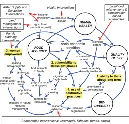 Figure 1: PHE model, highlighting how livelihood activities reinforce positive dynamic forces 