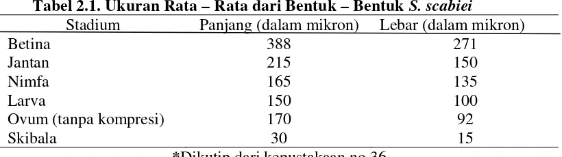 Tabel 2.1. Ukuran Rata – Rata dari Bentuk – Bentuk S. scabiei 
