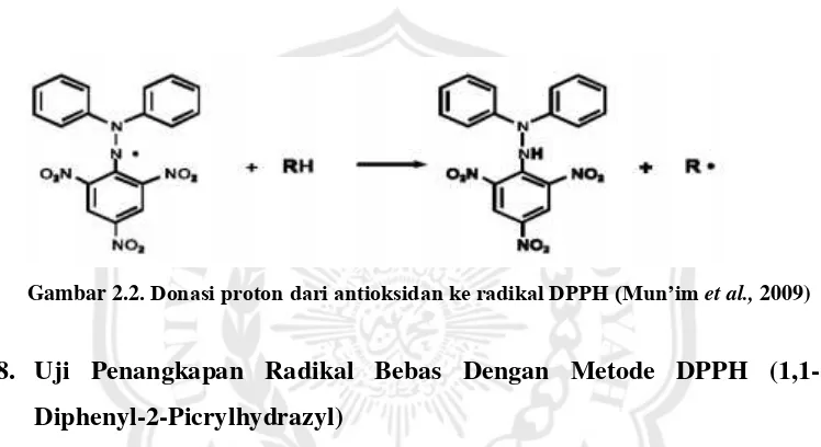Gambar 2.2. Donasi proton dari antioksidan ke radikal DPPH (Mun’im et al., 2009) 