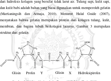 Gambar 3. Struktur kimia gelatin (Poppe, 1992 dalam Haris, 2008). 