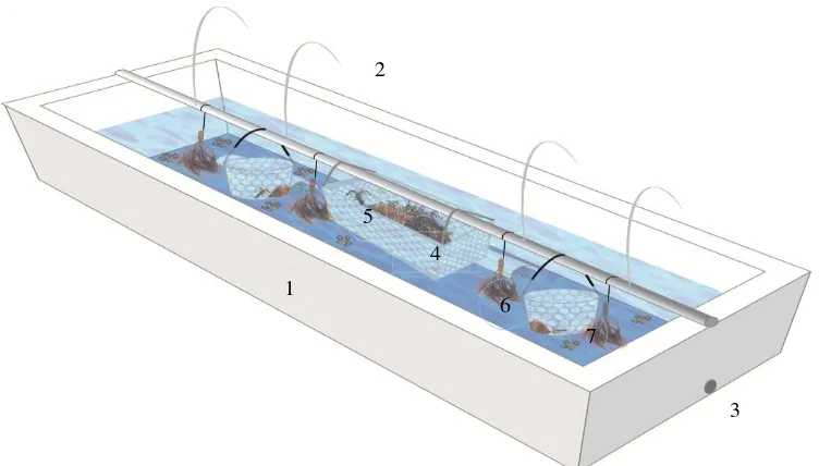 Figure 1. Design Container Maintenance of the System IMTA (1: pond aquaculture, 2: 