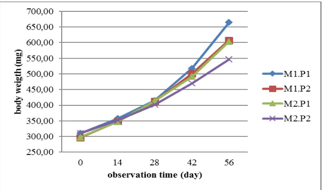 Figure 3. Weigth  growth pattern of lobster. M1.P1 (IMTA with natural feeding); M1.P2 (IMTA 