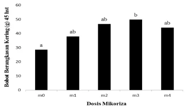 Tabel 5. Rata-rata persentase ukuran umbi kentang pada jenis pupuk organik dan dosis mikoriza