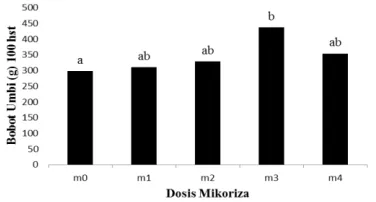 Gambar 2. Pengaruh dosis mikoriza terhadap bobot umbi (g) 100 hst. 