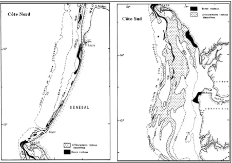 Figure 56 : Géomorphologie du plateau continental sénégalais, Source : Domain (1980) 