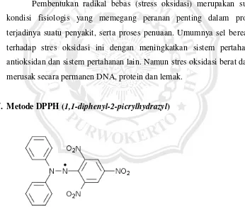 Gambar 2.2. Struktur DPPH (Kurniawan, 2011). 