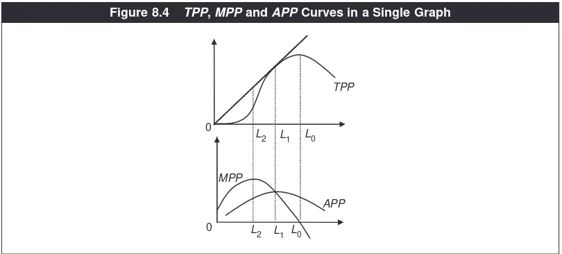 Figure 8.4TPP, MPP and APP Curves in a Single Graph