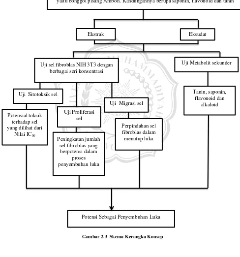 Gambar 2.3  Skema Kerangka Konsep 