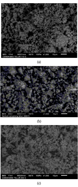 Gambar 4.2 Hasil Analisa SEM Adsorben Cangkang Telur Bebek pada Suhu (a) 110, (b) 600, dan (c)  8000C dengan Perbesaran 1000x 
