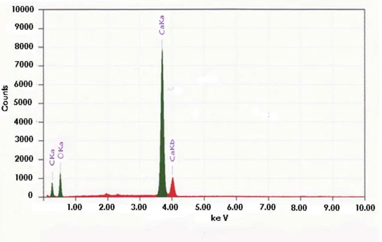 Gambar 4.3 Hasil Analisa EDX pada Adsorben Cangkang Telur Bebek dengan Suhu 1100C 