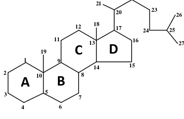 Gambar 2.6 Struktur kimia triterpenoid 