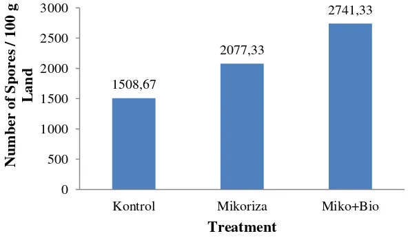Figure 1 . The Number of indigenous mycorrhizals’ Spores / 100g of Soil on the Treatment of Trichoderma spp