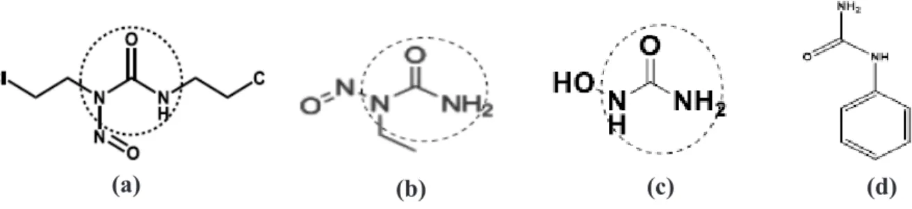 Gambar 1. Struktur Karmustin (a), ENU (b), hidroksiurea (c), dan N-fenilurea (d).