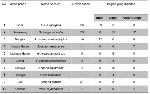 Tabel 4 Pohon Pakan Monyet Ekor Panjang di Pelabuhan Badas (Hasil Analisis Vegetasi) 