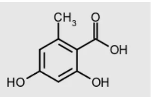 Gambar 2.11 Struktur Kimia Acetogenin 
