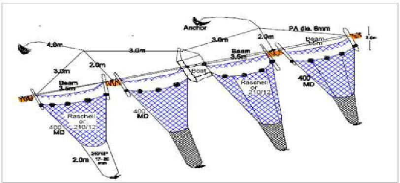 Fig. 5.Stow net fishing methods (Source:  Mbye, 2005) 