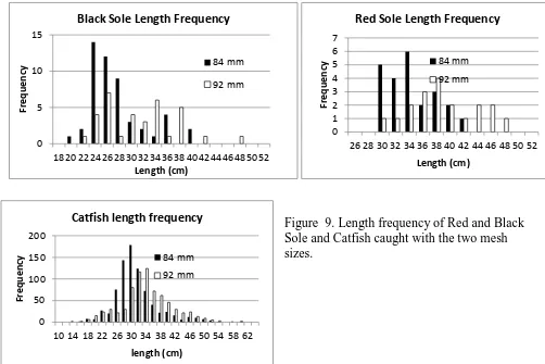 Figure  9. Length frequency of Red and Black  Sole and Catfish caught with the two mesh 