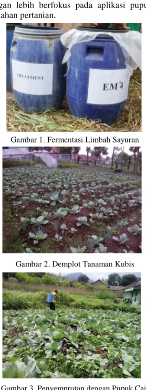 Gambar 1. Fermentasi Limbah Sayuran 