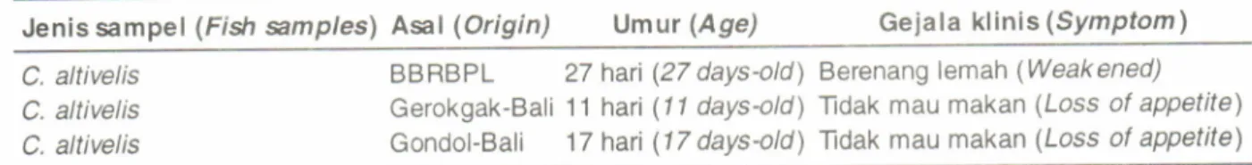Table  1.  The  used  fish  samples,  origin, ages,  and symptom