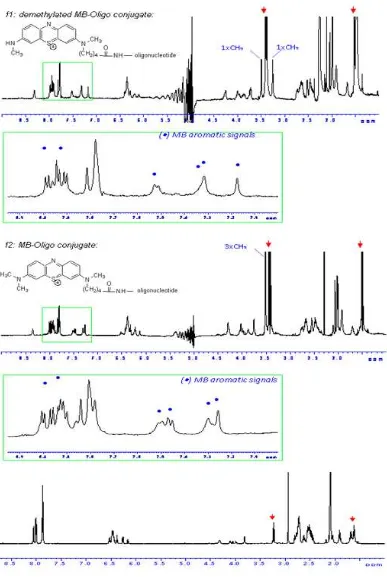 Figure 8: 1D  the non - 1H - NMR spectra of the MB - oligonucleotide conjugates as well as conjugated 3’ - aminoalkyl - oligonucleotide in H2O  