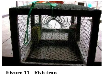 Figure 11.  Fish trap. 