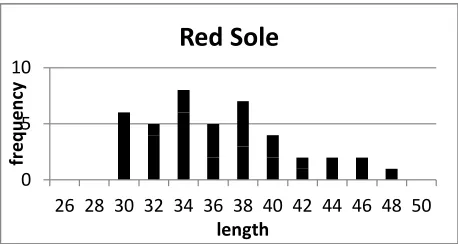 Figure 1:  Length frequency of Red sole                