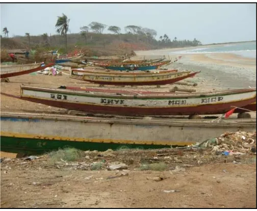 Figure 6.  Wooden canoes are principally used by the artisanal fleet. 
