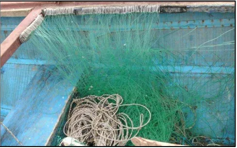 Figure 9.  (a) Sole entangled in a gillnet hung without a hanging ratio, (b) Illustration of a gillnet in strong current without proper floatation