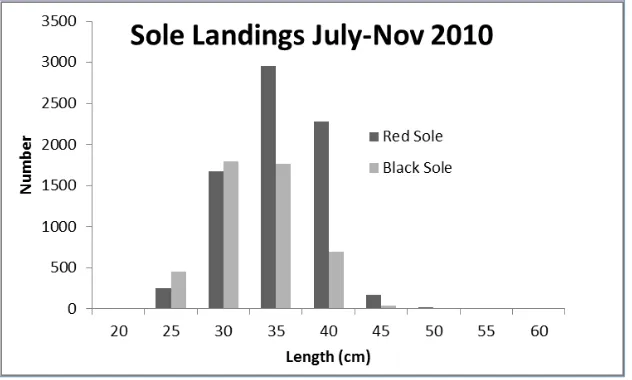 Figure 11.  Length frequency of red and black sole captured by gillnet in four main landing sites (Kartong, Sanyang, Brufut and Gunjur)