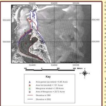 Fig. 2: Shoreline changes between 1981 and 2002 (Southern part of Kunduchi-ManyemaCreek).