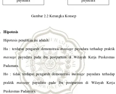 Gambar 2.2 Kerangka Konsep 