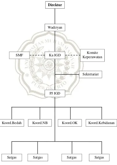 Gambar 1. Struktur organisasi IGD RSUD Prof.DR.Margono Soekarjo 