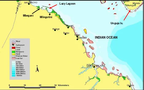 Fig.  1:  Map  showing  the  location  of  Lazy  lagoon  along  the  coast  of  Tanzania,  north  of  Dar  es  Salaam  City  and  south  of  Bagamoyo  Town.  Source:  IMS  GIS  Unit.  