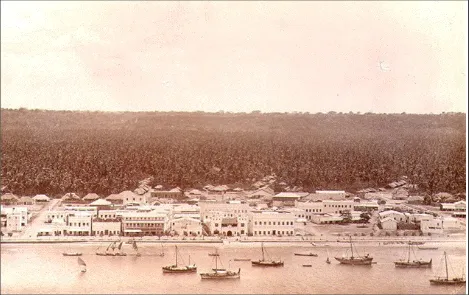 Figure 1. A Photo of Pangani Town in 1890.The town has now extended far back in the background forest