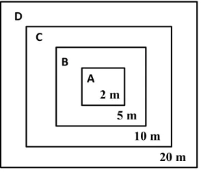 Gambar 2. Bentuk dan Ukuran Plot Contoh 