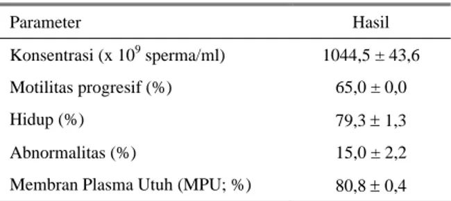 Tabel 1. Kualitas spermatozoa epididimis kerbau belang  (segar)  Parameter Hasil  Konsentrasi (x 10 9  sperma/ml)  1044,5 ± 43,6  Motilitas progresif (%)  65,0 ± 0,0  Hidup (%)  79,3 ± 1,3  Abnormalitas (%)  15,0 ± 2,2 