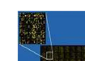 Gambar  2:  Citra Microarray (citra asli: http://en.wikipedia.org/wiki/File:Microarray2.gif) 