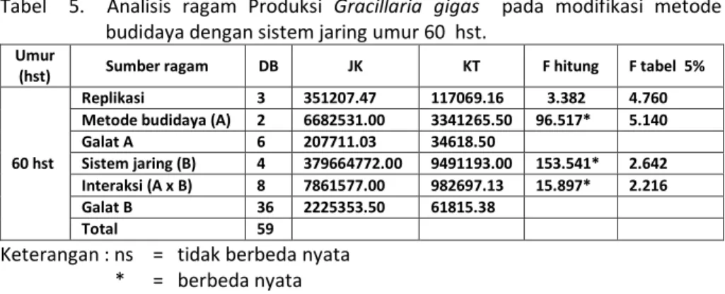 Tabel    5.    Analisis  ragam  Produksi  Gracillaria  gigas    pada  modifikasi  metode  budidaya dengan sistem jaring umur 60  hst