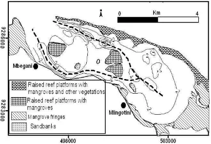 Figure 2 Map showing the bathymetry of the Mbegani Bay. Note the two tidal channels which merge on the southeastern part of the Bay  (Source :  Shaghude, 2011.) 