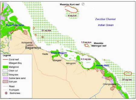Figure 5 Map showing the distribution and estimated area cover of seagrass in Mbegani Bay area 