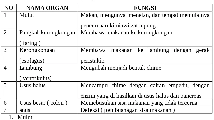 Table organ pencernaan dan fungsinya