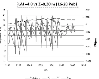 Gambar 16. Simulasi LAI 4,8 dan Z 0,3 m   pada periode 16-28 Pebruari  Pada gambar 14,15 dan 16 mendeskripsikan prilaku temperatur dan fluks yang  terjadi selama periode musim dingin
