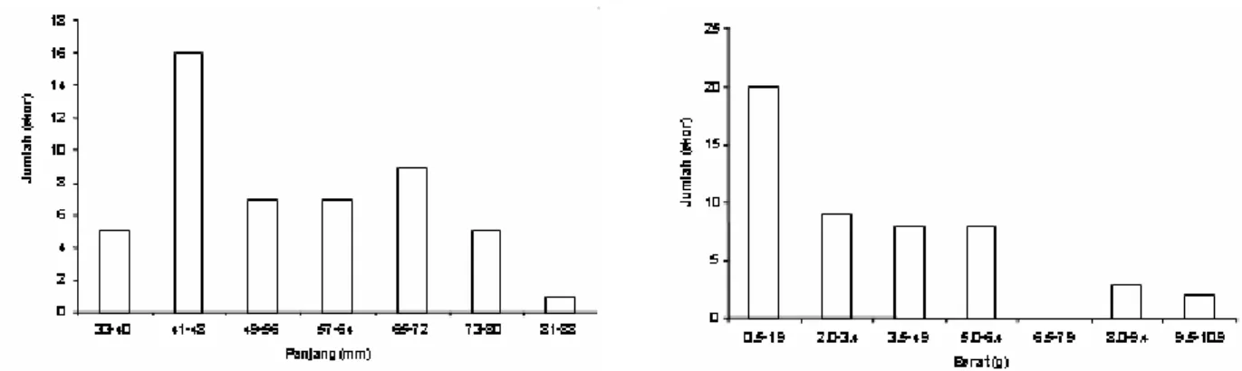 Figure 2. a) length frequency and b)weigth frequency tongue fish (Achiroides leuchorhinchos).