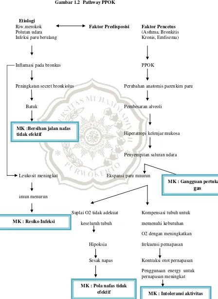 Gambar 1.2  Pathway PPOK 