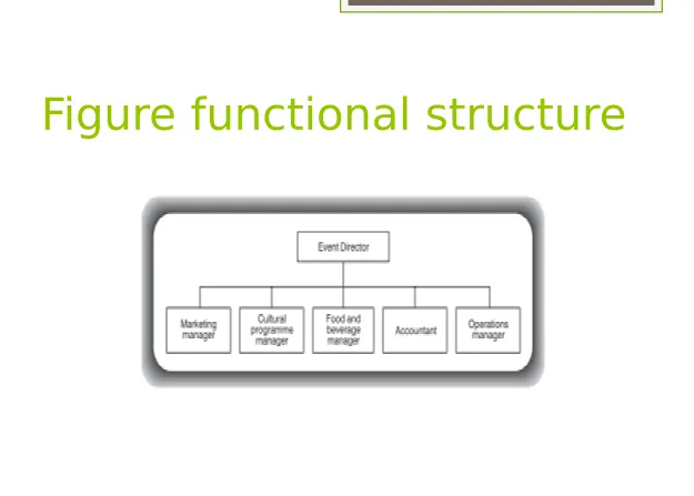 Figure functional structure