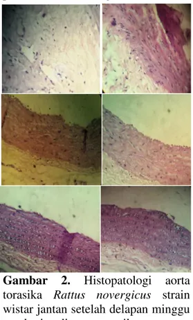 Gambar  2.  Histopatologi  aorta  torasika  Rattus  novergicus  strain  wistar jantan setelah delapan minggu  pemberian diet aterogenik