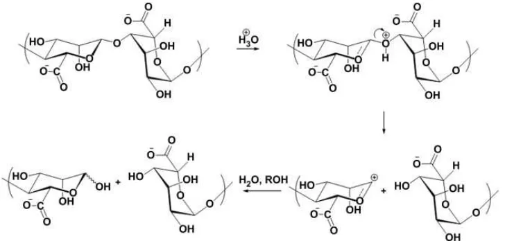 Gambar 4.5 Pengaruh Penyimpanan Terhadap Berat Molekul Natrium Alginat 